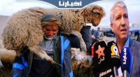 وزير الفلاحة في تصريح مثير حول عيد الأضحى